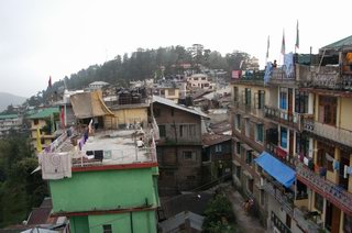 Resize of DSC_0137.JPG